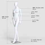 ファッションマネキン 女性 卵型ヘッド 全身 12ポーズ（座りあり）｜アパレル店舗のディスプレイに