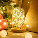 イベント・クリスマス装飾｜LEDストリングライト 銅線(1〜10m )