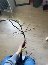 イベント・ハロウィングッズ｜フェイクツリー ラタン風 90cm・120cm