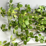 【S/M/Lサイズ】人工グリーンつる植物（枝タイプ）