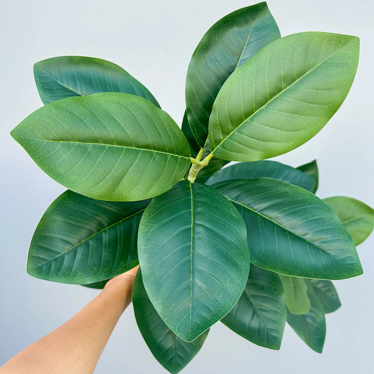 大型人工植物 フィカスツリー 40～145cm｜フェイクフィドルリーフ フィグ グリーンプラント インテリア装飾 オフィス・ウェディング向け