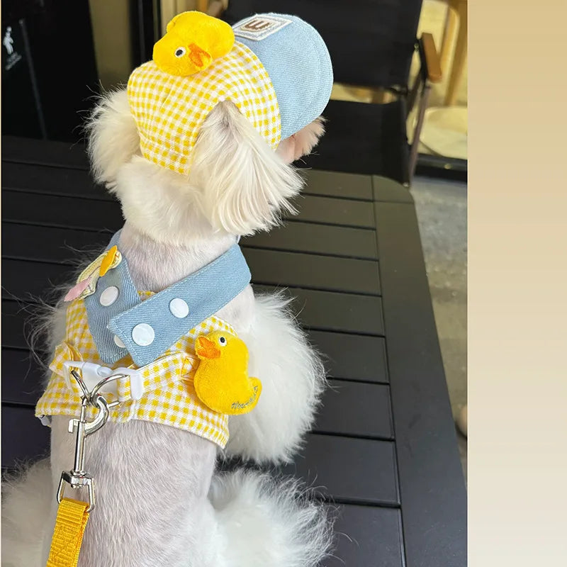 小型・中型犬用ペットハーネスリーシュセット