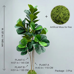 大型人工植物 フィカスツリー 40～145cm｜フェイクフィドルリーフ フィグ グリーンプラント インテリア装飾 オフィス・ウェディング向け