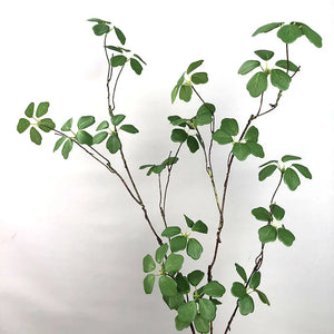 【S/M/Lサイズ】人工グリーンつる植物（枝タイプ）