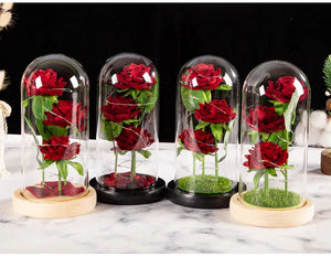 ライトアップガラスドームローズギフト