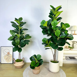 大型人工植物 フィカスツリー 40～145cm｜フェイクフィドルリーフ フィグ グリーンプラント インテリア装飾 オフィス・ウェディング向け