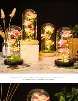 ライトアップガラスドームローズギフト