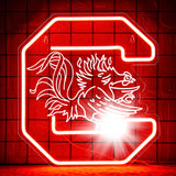 サウスカロライナ大学 LEDネオンサイン（ネオン看板）