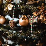 イベント・クリスマス装飾｜キャンディケイン 20個セット オーナメント