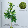大型人工植物 フィカスツリー 40～145cm｜フェイクフィドルリーフ フィグ グリーンプラント インテリア装飾 オフィス・ウェディング向け