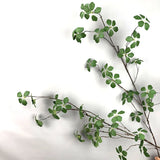 【S/M/Lサイズ】人工グリーンつる植物（枝タイプ）
