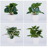 フェイクグリーン 盆栽 鉢植え装飾｜人工観葉植物 ミニテーブルプランター インテリア オフィス ホテル用