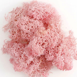 500g・1000g・ミニ風景フェイクグラス・永遠の命