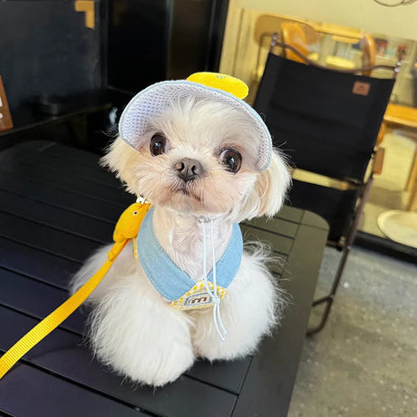 小型・中型犬用ペットハーネスリーシュセット