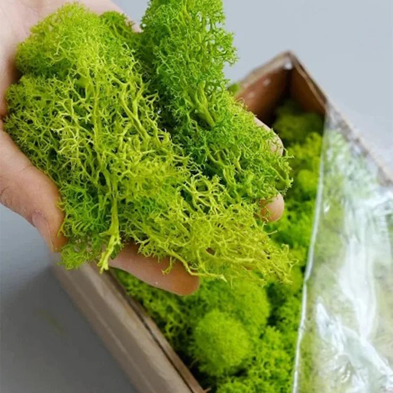 500g・1000g・ミニ風景フェイクグラス・永遠の命