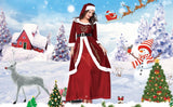 イベント・クリスマスグッズ｜サンタクロース風ドレス コスチューム(M～XXL)