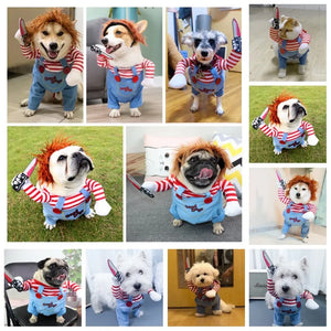 イベント・ハロウィングッズ｜犬用おもしろコスプレ服