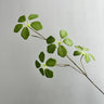 【S/M/Lサイズ】人工グリーンつる植物（枝タイプ）