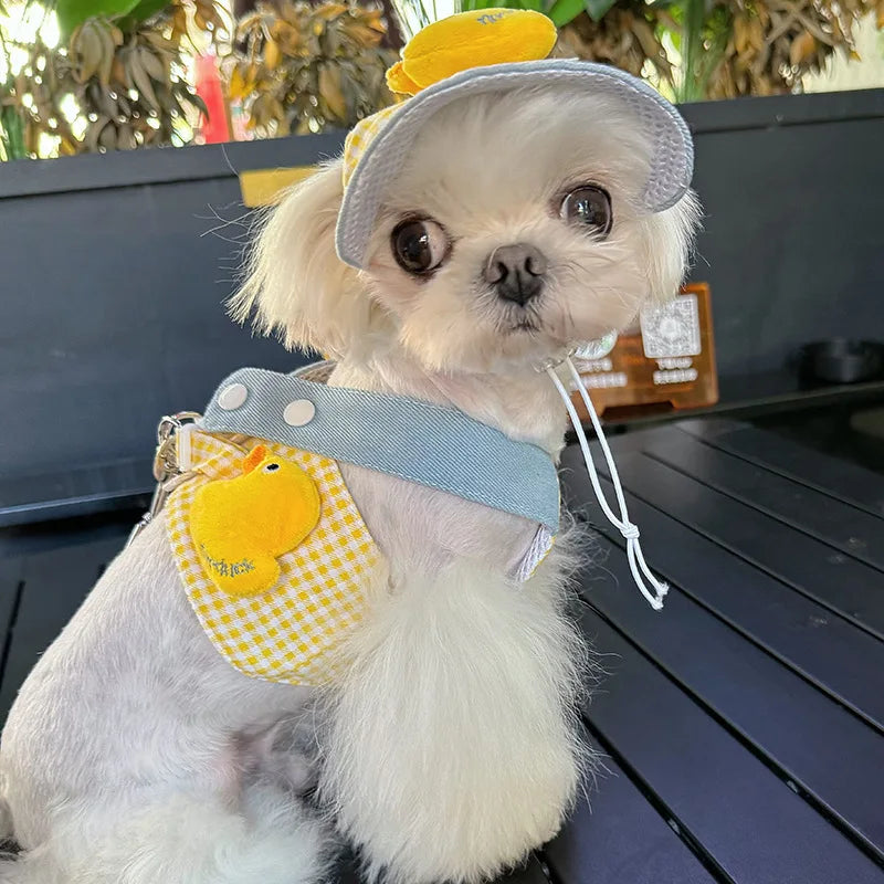 小型・中型犬用ペットハーネスリーシュセット