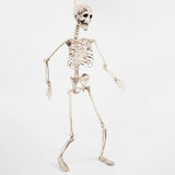 イベント・ハロウィングッズ｜70cm ホラー スケルトン