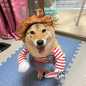 イベント・ハロウィングッズ｜犬用ホラー映画コスチュームセット