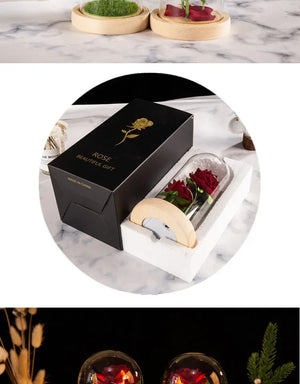 ライトアップガラスドームローズギフト