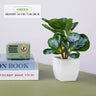 フェイクグリーン 盆栽 鉢植え装飾｜人工観葉植物 ミニテーブルプランター インテリア オフィス ホテル用