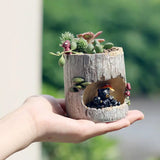 かわいい小動物ファミリーハリネズミクマカエルの置物樹脂植木鉢ホームガーデンデスクトップ植木鉢多肉植物盆栽植物デコ