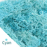500g・1000g・ミニ風景フェイクグラス・永遠の命