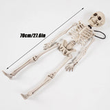 イベント・ハロウィングッズ｜70cm ホラー スケルトン