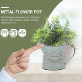 ブリキの植木鉢・農家風・装飾・アレンジメント