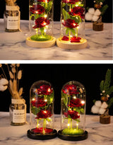 ライトアップガラスドームローズギフト