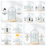 ライトアップガラスドームローズギフト