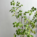 【S/M/Lサイズ】人工グリーンつる植物（枝タイプ）
