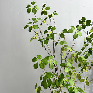 【S/M/Lサイズ】人工グリーンつる植物（枝タイプ）