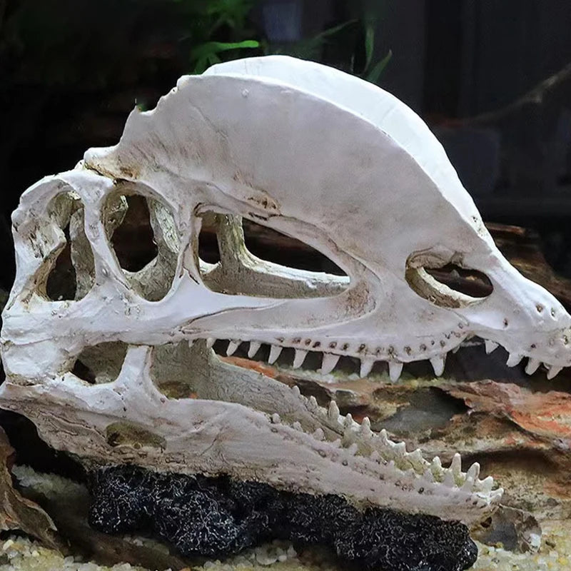 イベント・ハロウィングッズ｜水槽用シミュレーション樹脂動物頭蓋骨装飾
