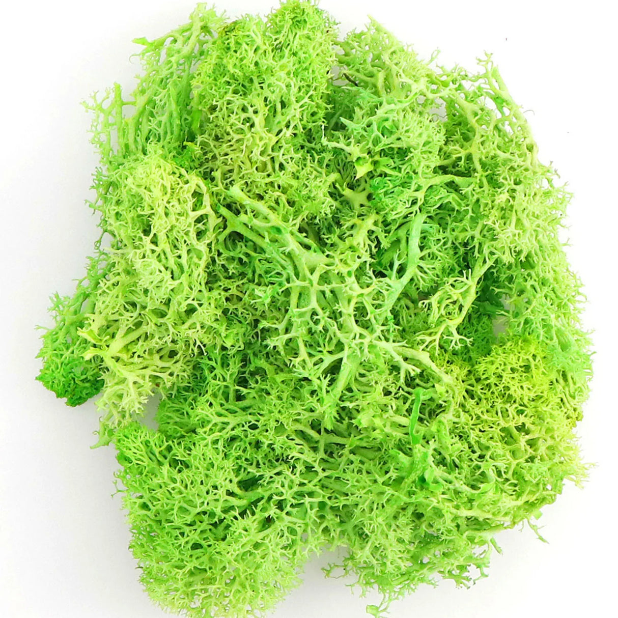 500g・1000g・ミニ風景フェイクグラス・永遠の命
