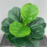 大型人工植物 フィカスツリー 40～145cm｜フェイクフィドルリーフ フィグ グリーンプラント インテリア装飾 オフィス・ウェディング向け