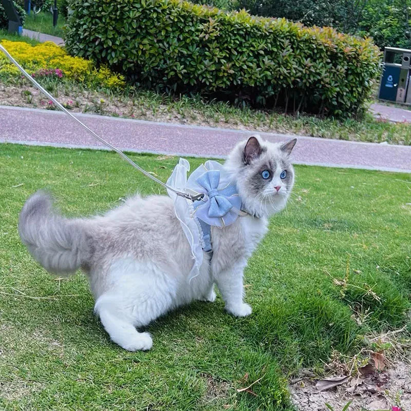 イベント・パーティーグッズ｜蝶結びデザインの猫用ハーネスリーシュ