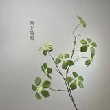 【S/M/Lサイズ】人工グリーンつる植物（枝タイプ）