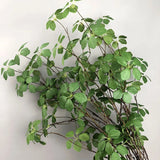 【S/M/Lサイズ】人工グリーンつる植物（枝タイプ）