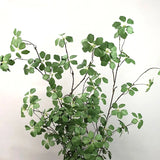 【S/M/Lサイズ】人工グリーンつる植物（枝タイプ）