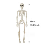 イベント・ハロウィングッズ｜40cm可動式スケルトン人形
