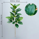 大型人工植物 フィカスツリー 40～145cm｜フェイクフィドルリーフ フィグ グリーンプラント インテリア装飾 オフィス・ウェディング向け