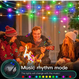 【イベント・クリスマス装飾】LEDクリスマスライト Bluetooth対応(5M/10M/20M)