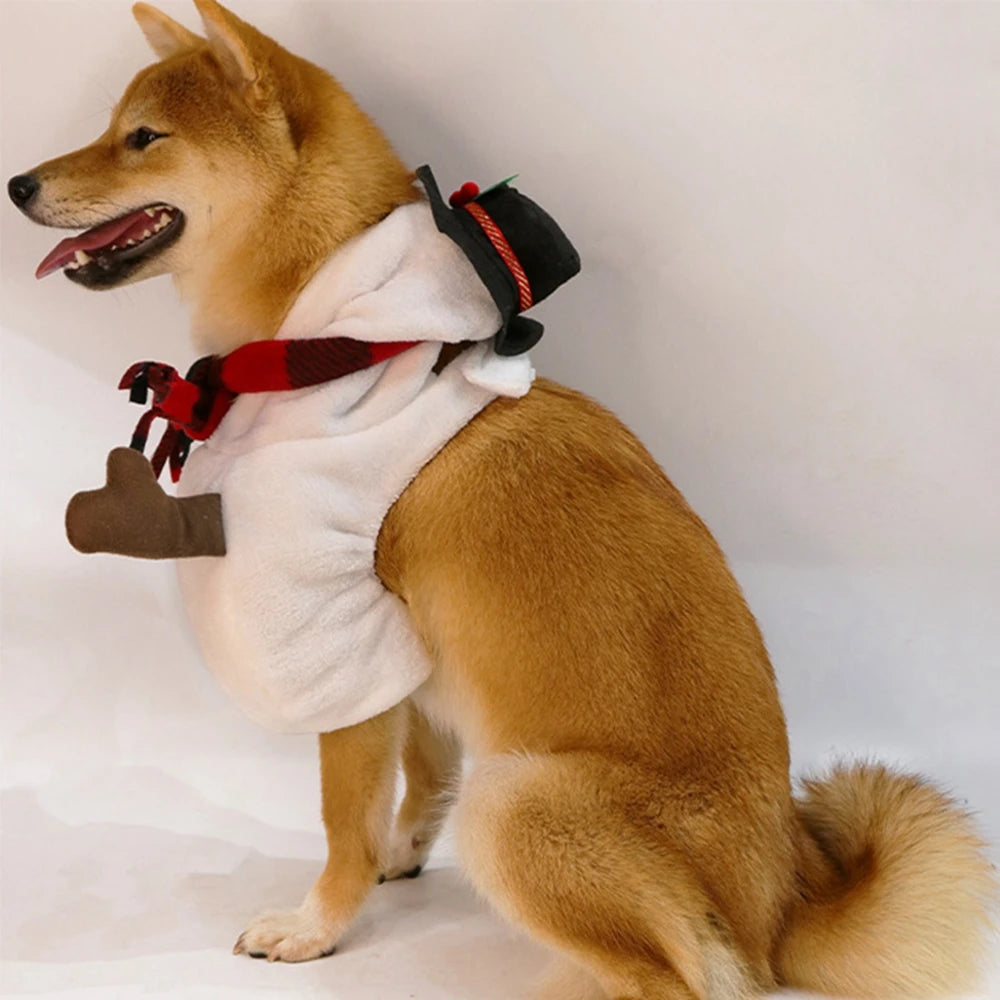 イベント・ハロウィングッズ｜犬猫用コスチューム 多彩デザイン