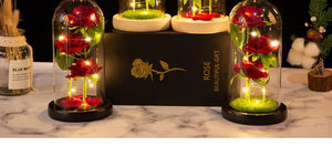 ライトアップガラスドームローズギフト