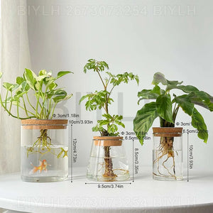 水耕栽培用ガラス花瓶・植物栽培用・ホームデコレーション・デスクトップデコレーション