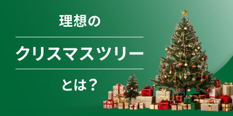 クリスマスの魔法を演出！理想のクリスマスツリー選び