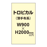 トロピカル （薄手布系）【W900?H2000mm以内】